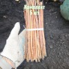 Комплект 5шт / Черенки Чубушника